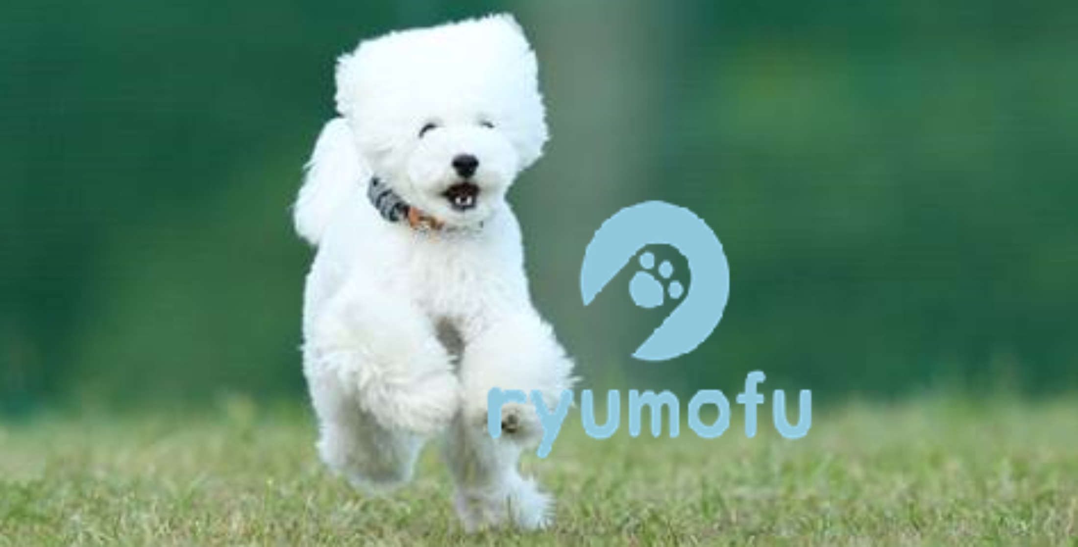 ryumofu.com